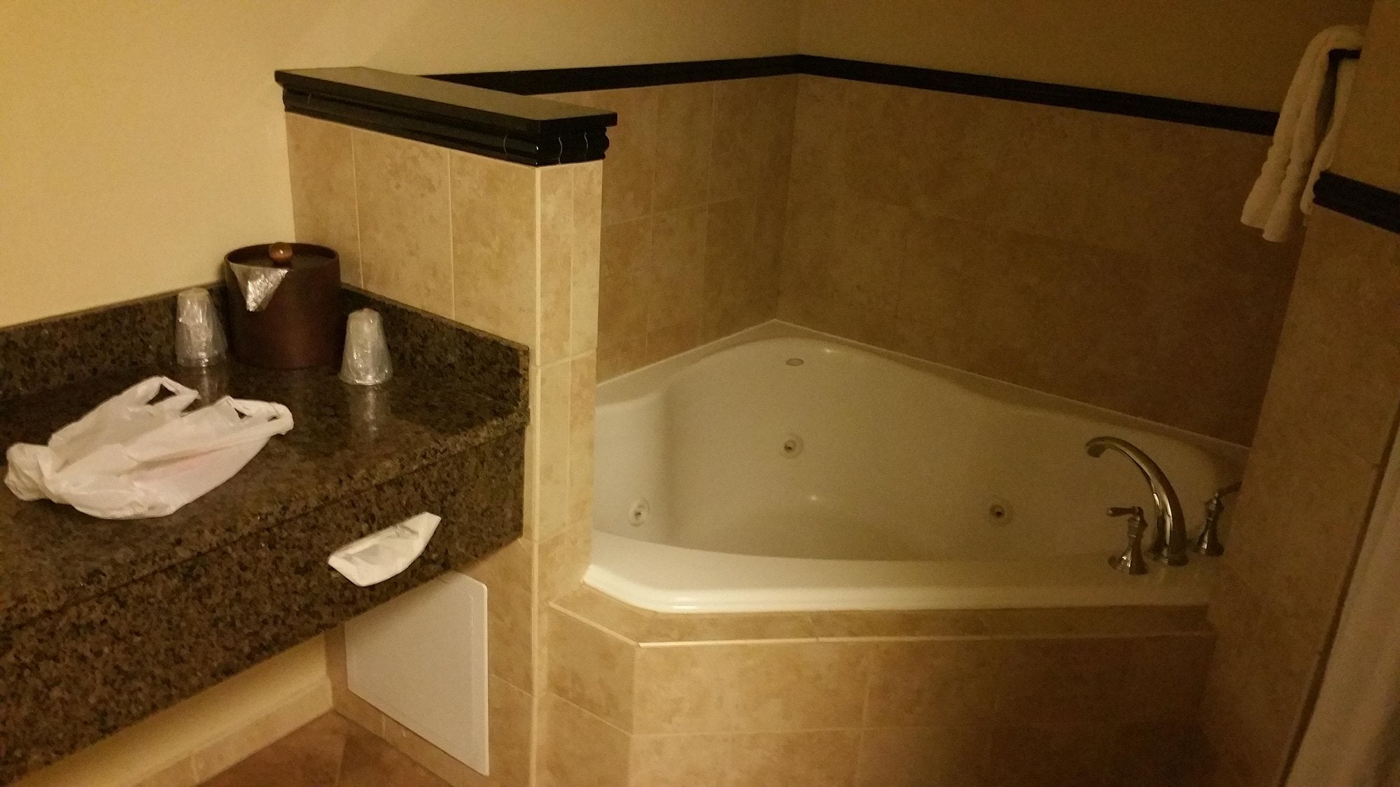 Drury Plaza Hotel San Antonio North Stone Oak